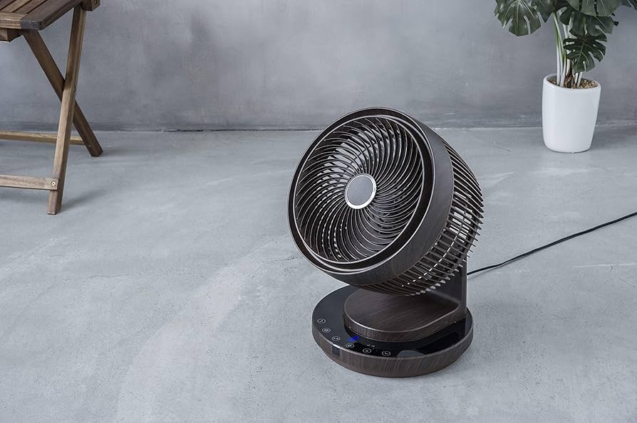 81DZzE+o2+L._AC_UF894,