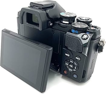 Amazon.com : Olympus OM-D E-M10 Mark III Micro Four Thirds System
