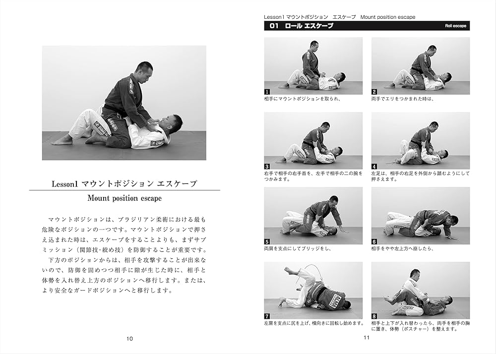 81EFkGPg9XL._AC_UF1000,