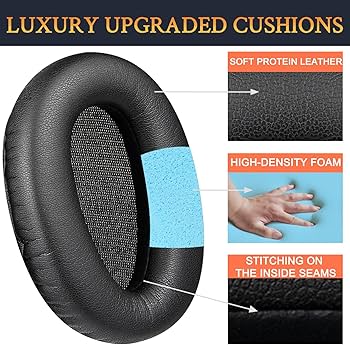 81EeJ-+qQsL._AC_UF350,