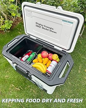 Amazon.com : Wire Basket for Ninja FrostVault Hard Cooler