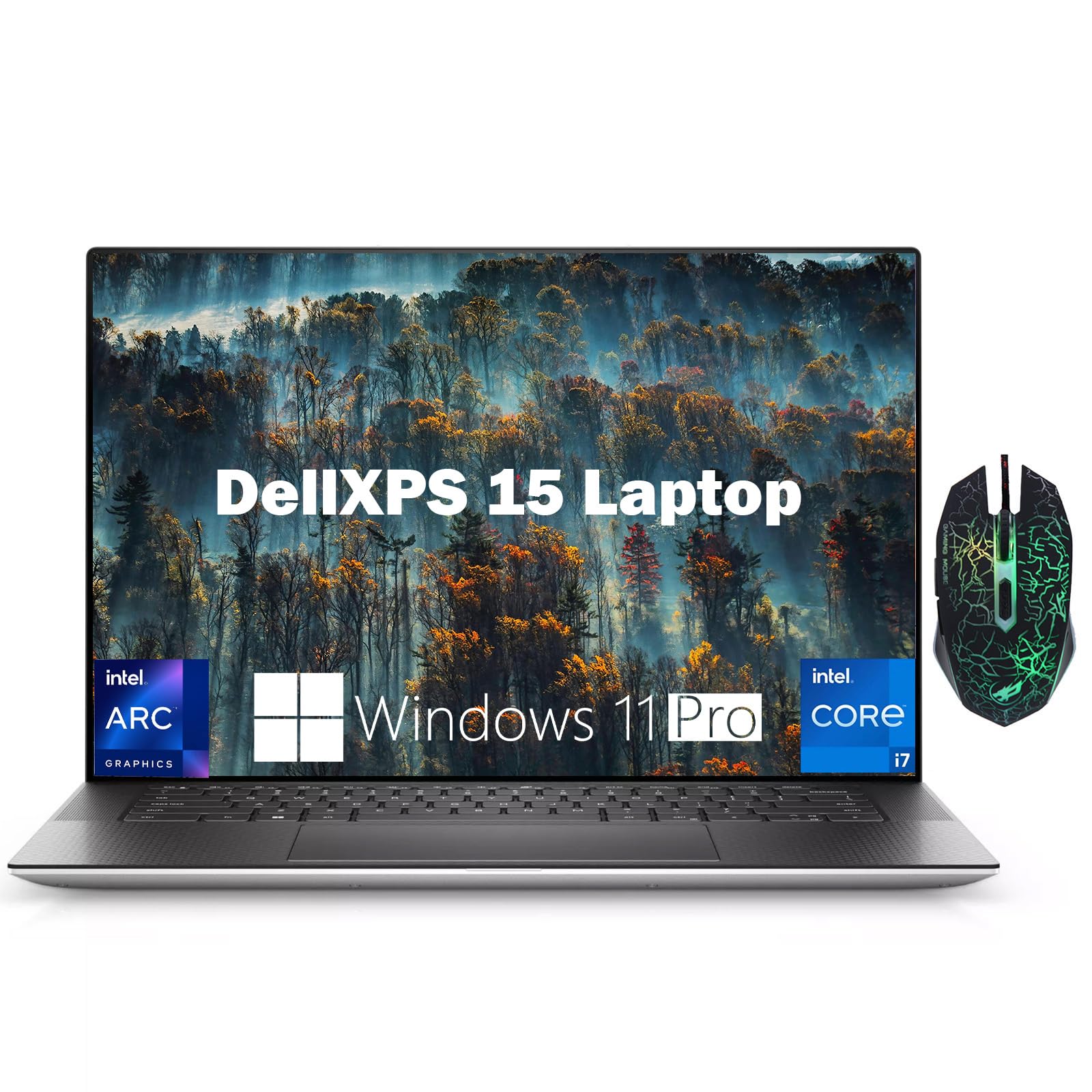 Amazon.com: Dell 2024 XPS 15 9530 Business Laptop, 15.6