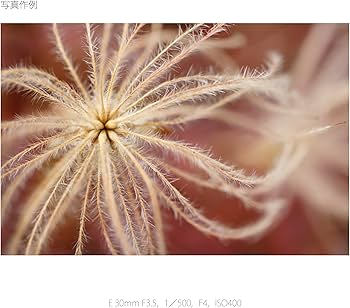 Amazon.co.jp: SONY 単焦点レンズ E 30mm F3.5 Macro ソニー Eマウント