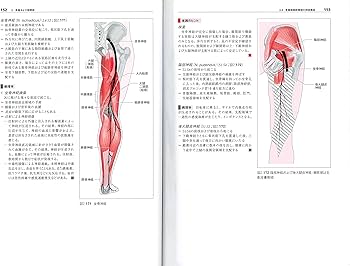81FEjJHfnWL._AC_UF350,