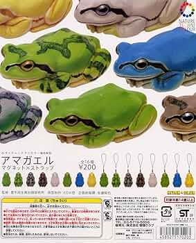 81FW9sg4+WL._AC_UF350,