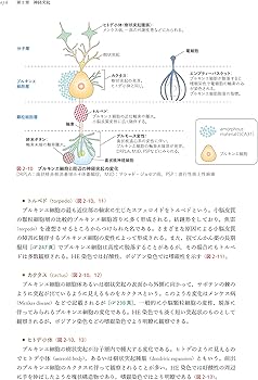 神経病理インデックス 第2版 | 新井信隆, 新井信隆 |本 | 通販 | Amazon