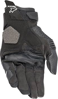 Amazon | アルパインスターズ(Alpinestars) バイクグローブ ブラック