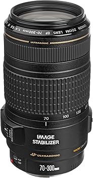 Amazon.com : Canon EF 70-300mm f/4-5.6 is USM Lens for Canon EOS