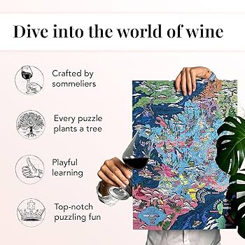 81HMzfBfwqL._AC_UF350,