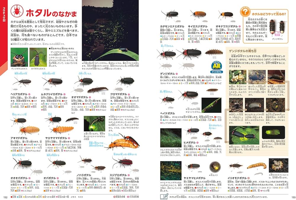 Amazon.com: 昆虫 新版 (学研の図鑑LIVE(ライブ)): 9784052051760