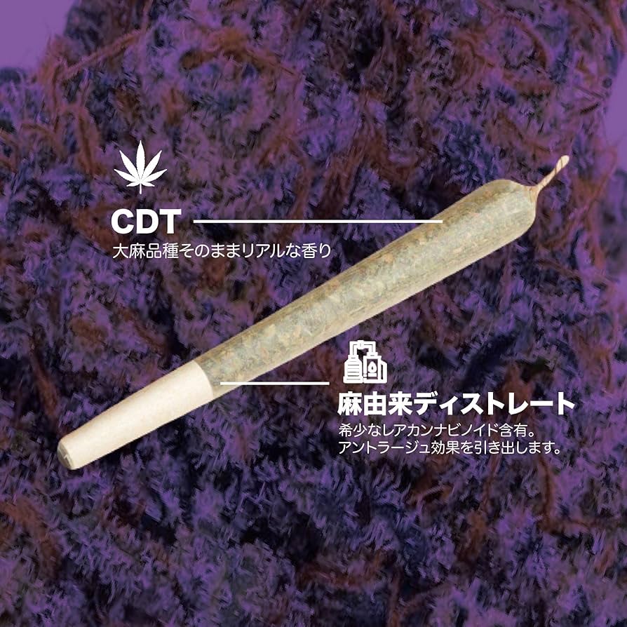 Amazon.co.jp: H4CBHハーブ パープルヘイズ+ 高濃度 サティバ テルペン