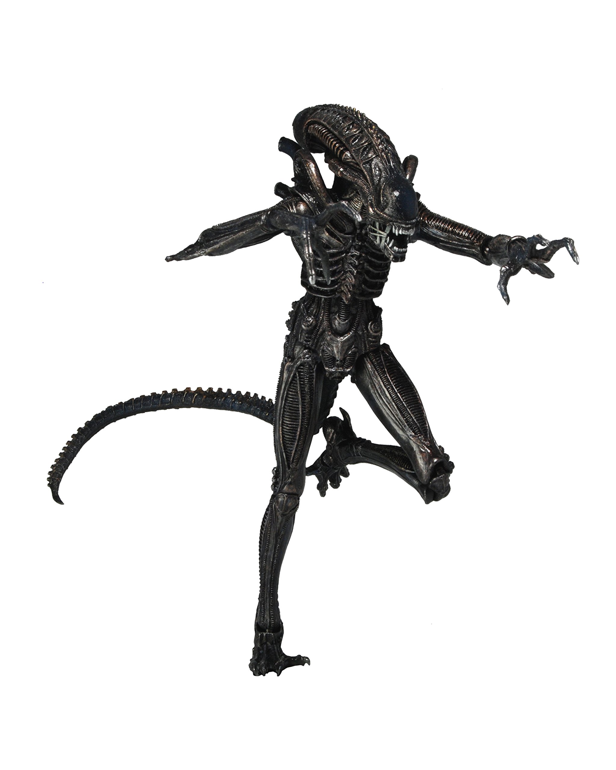 Amazon.co.jp: NECA ネカ エイリアン Xenomorph ゼノモーフ ウォーリア
