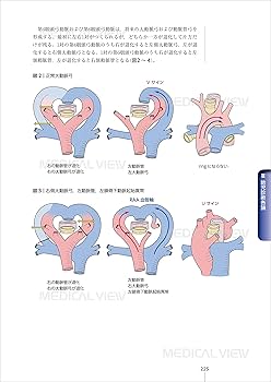 胎児心エコーのすべて−スクリーニング・精査・治療・そして家族支援