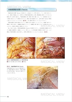 81Irlmj2AxL._AC_UF350,