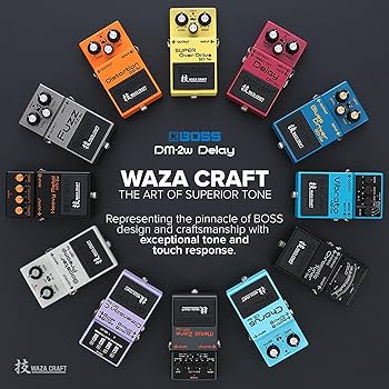 Amazon.com: Boss DM-2W Delay Waza Craft Guitar Effects Pedal