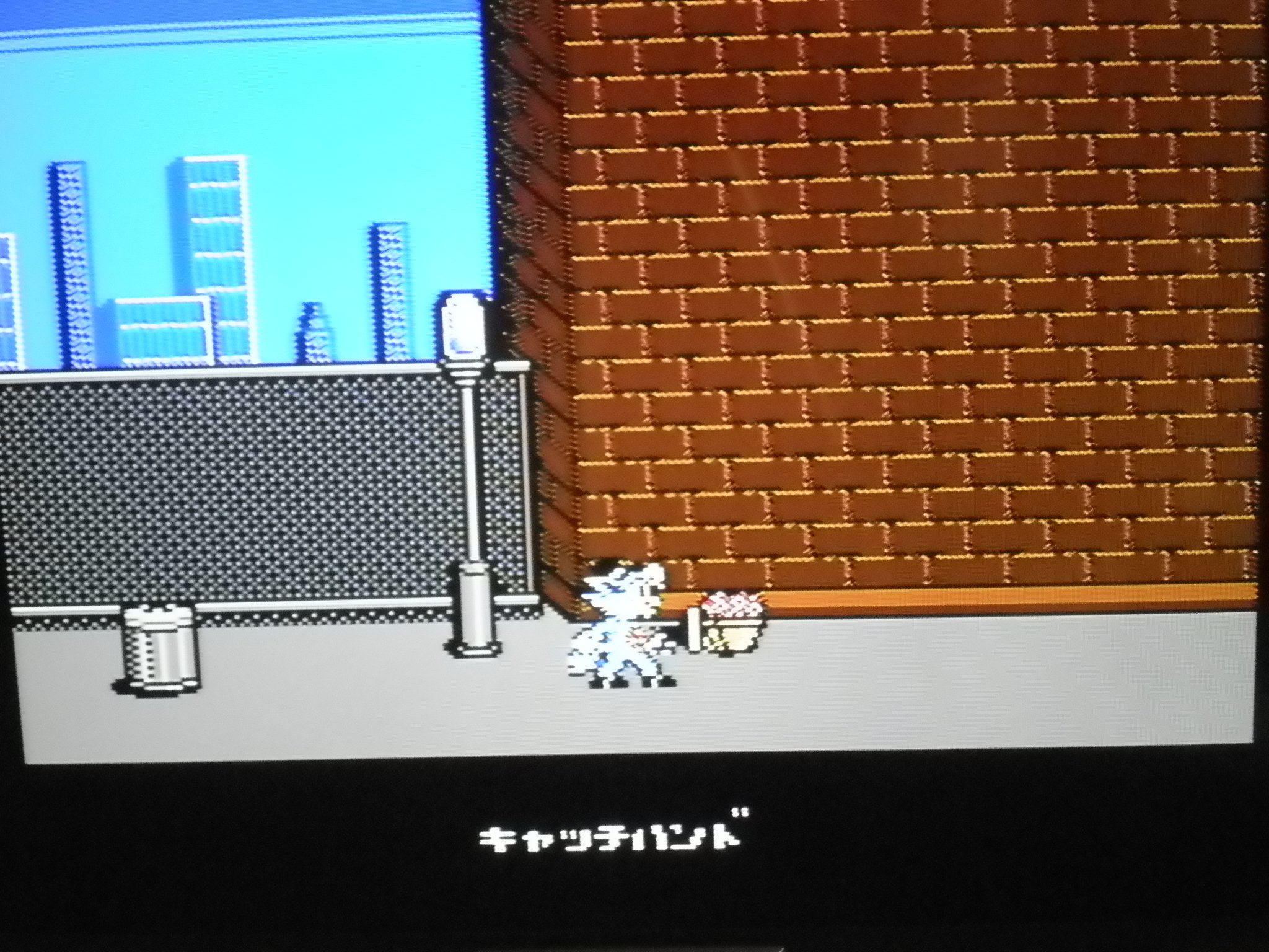 Amazon | NYニャンキーズ | ゲームソフト