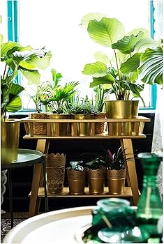 Amazon | IKEA(イケア) LANTLIV 80197125 プラントスタンド, ホワイト