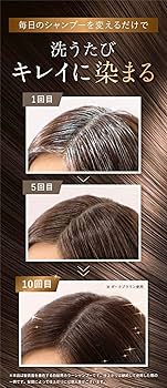 Amazon | Sastty (サスティ) 【白髪用】利尻カラーシャンプー (ライト