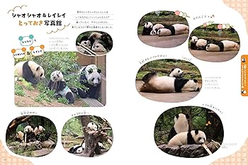 和気あいあい！ 上野のパンダファミリー物語 ～リーリー、シンシン