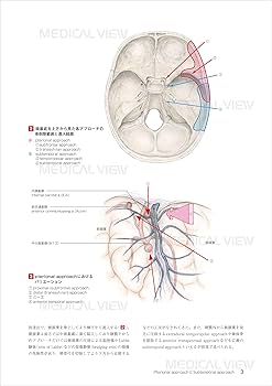 新 脳神経外科手術のための解剖学 | 塩川 芳昭, 斉藤 延人, 川原 信隆