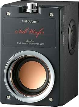 81Jw6LX9lsL._AC_UF350,