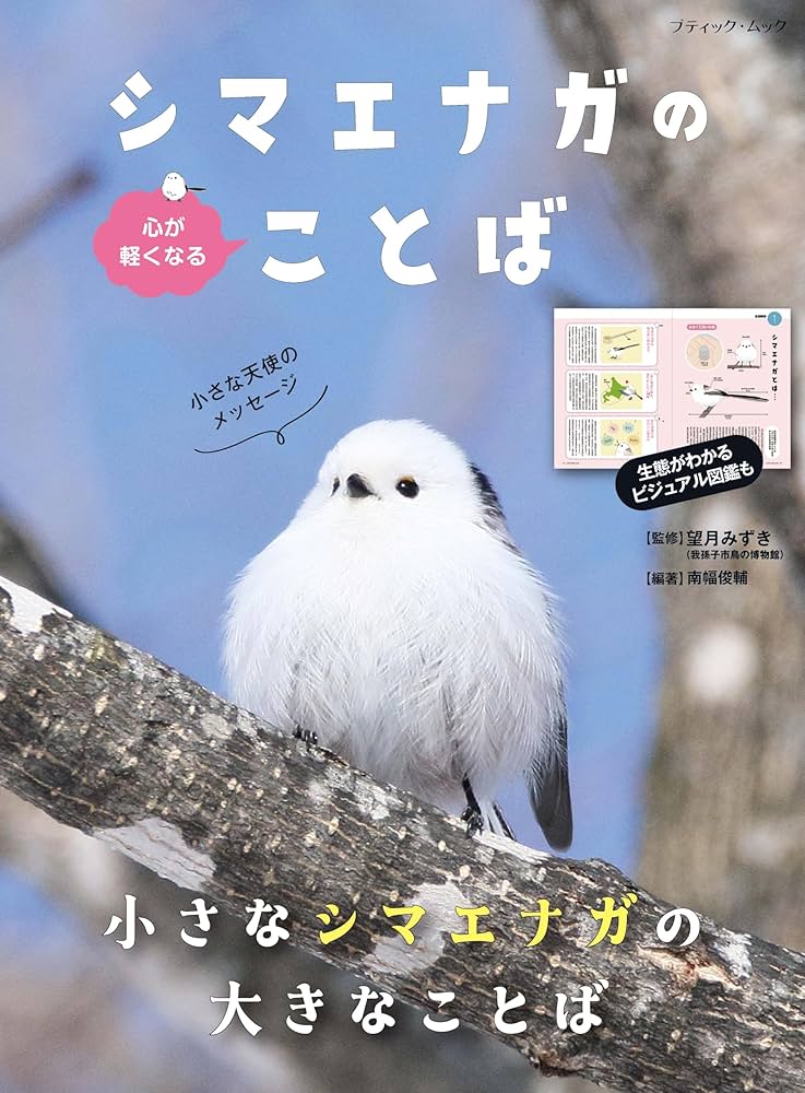 シマエナガのポストカード付/心が軽くなる シマエナガのことば