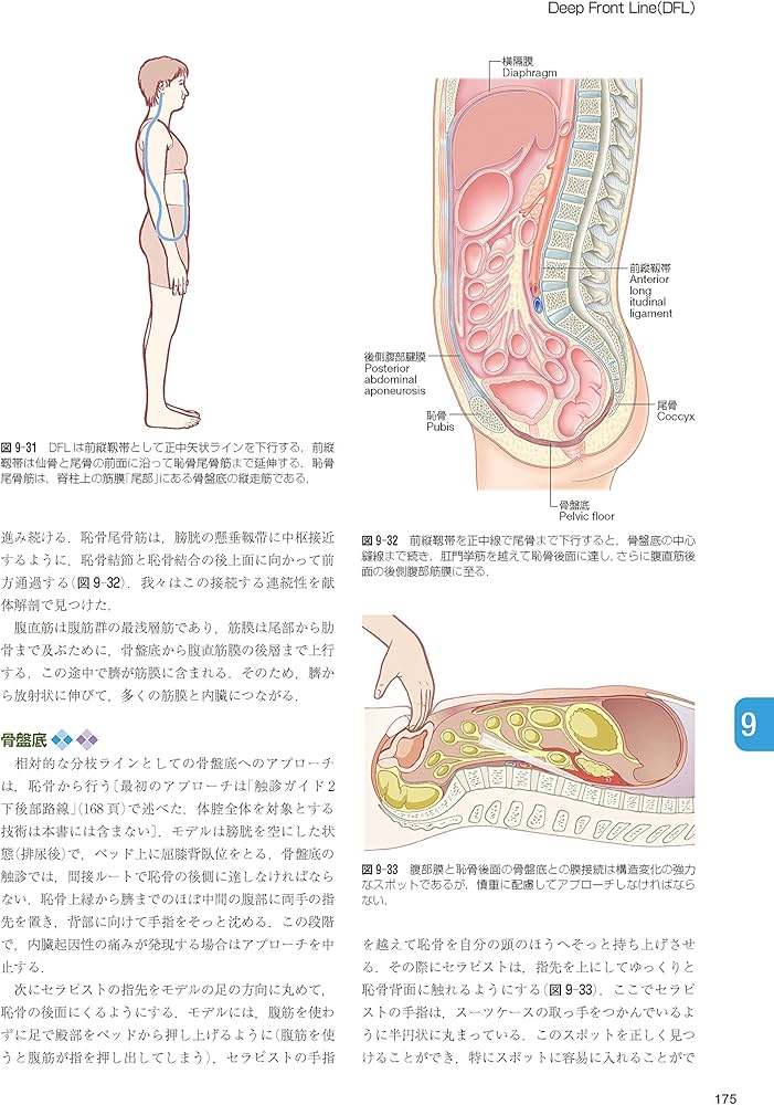 81KPoICmHQL._AC_UF1000,