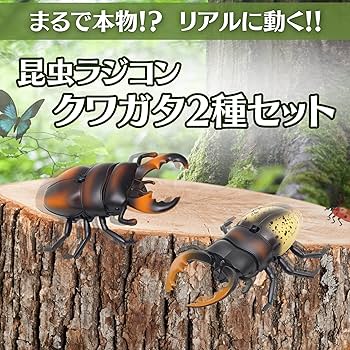 81L9O9prYyL._AC_UF350,