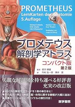 81LSv68M8SL._AC_UF350,