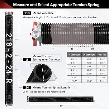 81gADf1veML._AC_UF350,