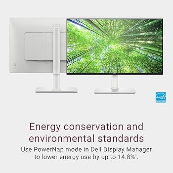 Amazon.com: Dell S2425HS Monitor - 23.8 Inch, FHD (1920x1080