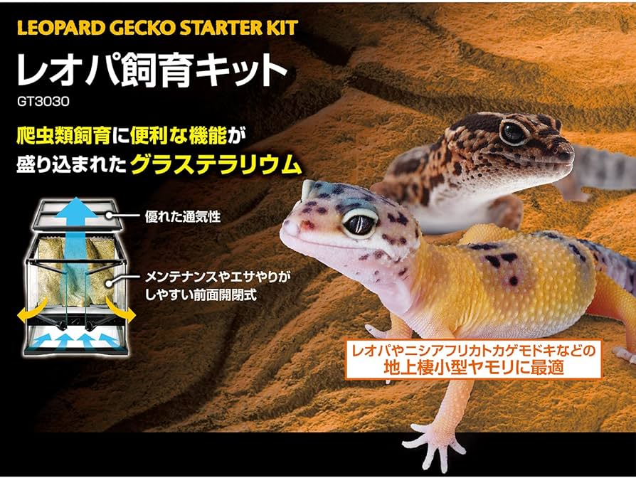 Amazon | GEX EXOTERRA レオパ飼育キット GT3030 爬虫類用ガラスケージ