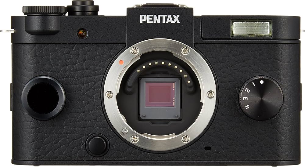 Amazon | RICOH ミラーレス一眼 Q-S1 ボディ ブラック 06065 | ミラー