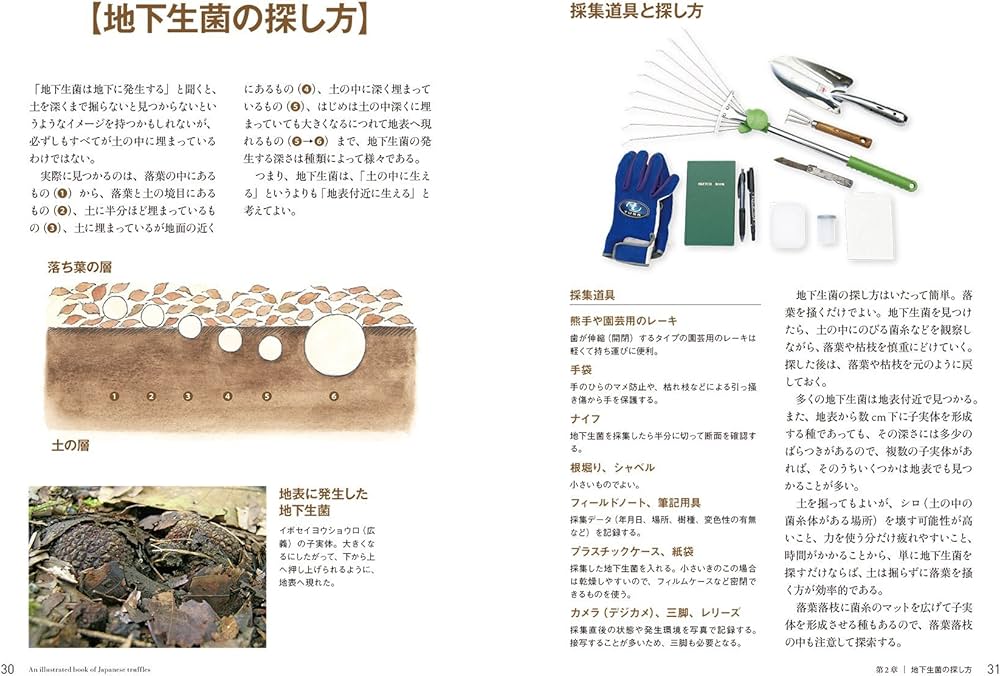 Amazon.co.jp: 地下生菌識別図鑑: 日本のトリュフ。地下で進化した