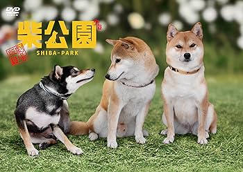 Amazon.co.jp: 劇場版 柴公園 [DVD] : 渋川清彦, 大西信満, ドロンズ