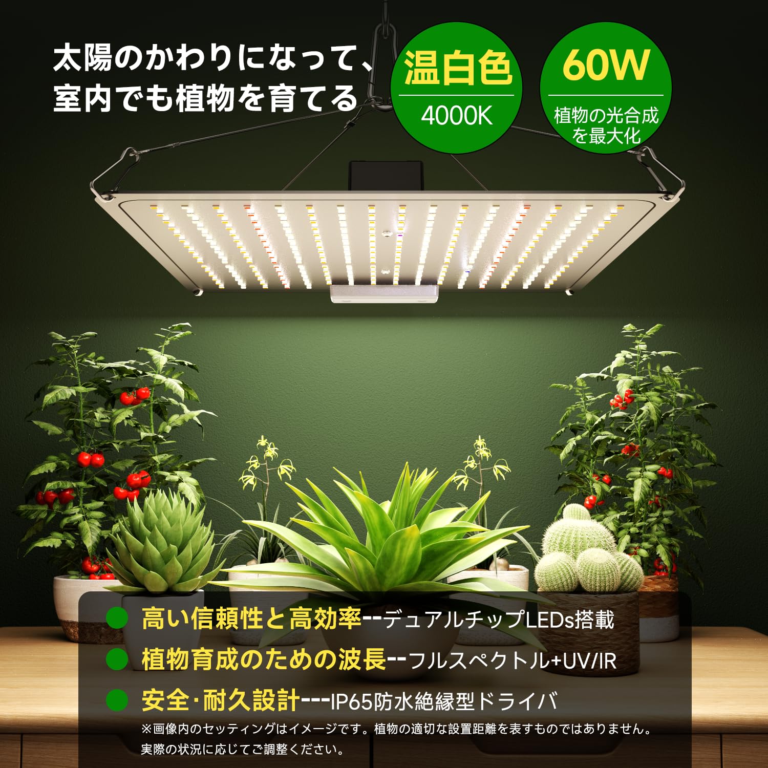 Amazon.co.jp: 植物育成ライト LED 60W パネル【放熱効率UP/ IP65防水