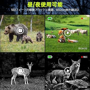 Amazon.co.jp: FKPCAM 2025最新型【WIFI&ソーラー充電式】 レイル