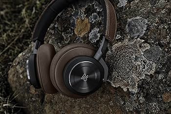 81jaZaNliLL._AC_UF350,