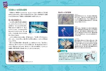 Amazon.com: 水族館のサバイバル 1 (科学漫画サバイバルシリーズ71
