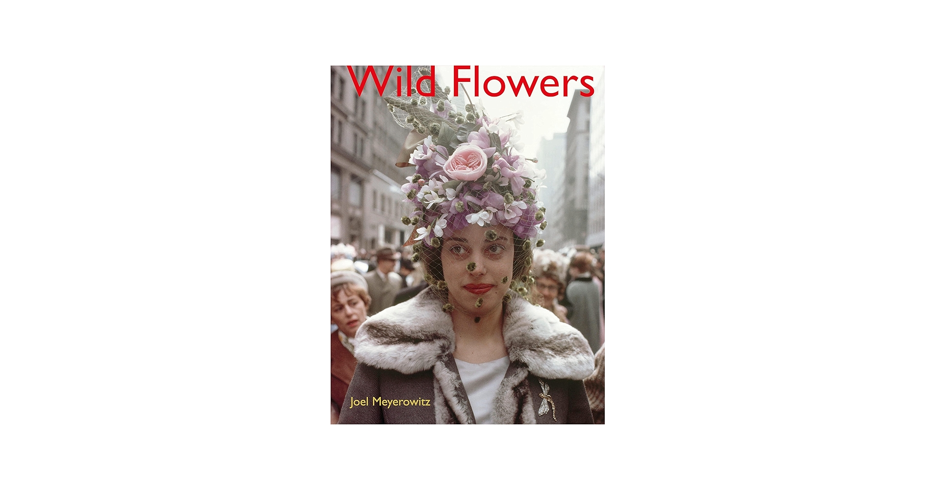 Amazon.com: Joel Meyerowitz: Wild Flowers: 9788862087308