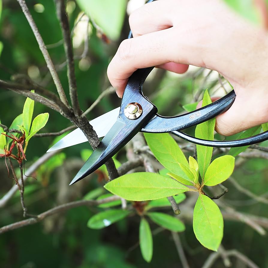 81k6Q5TpYkL._AC_UF894,