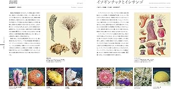 81kIYBGNcXS._AC_UF350,