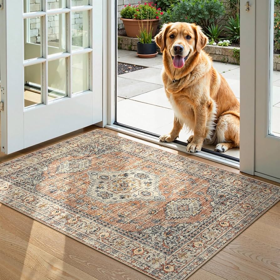 Amazon.com: Lahome Oriental Door Mat Indoor Entrance, 2x3 Washable