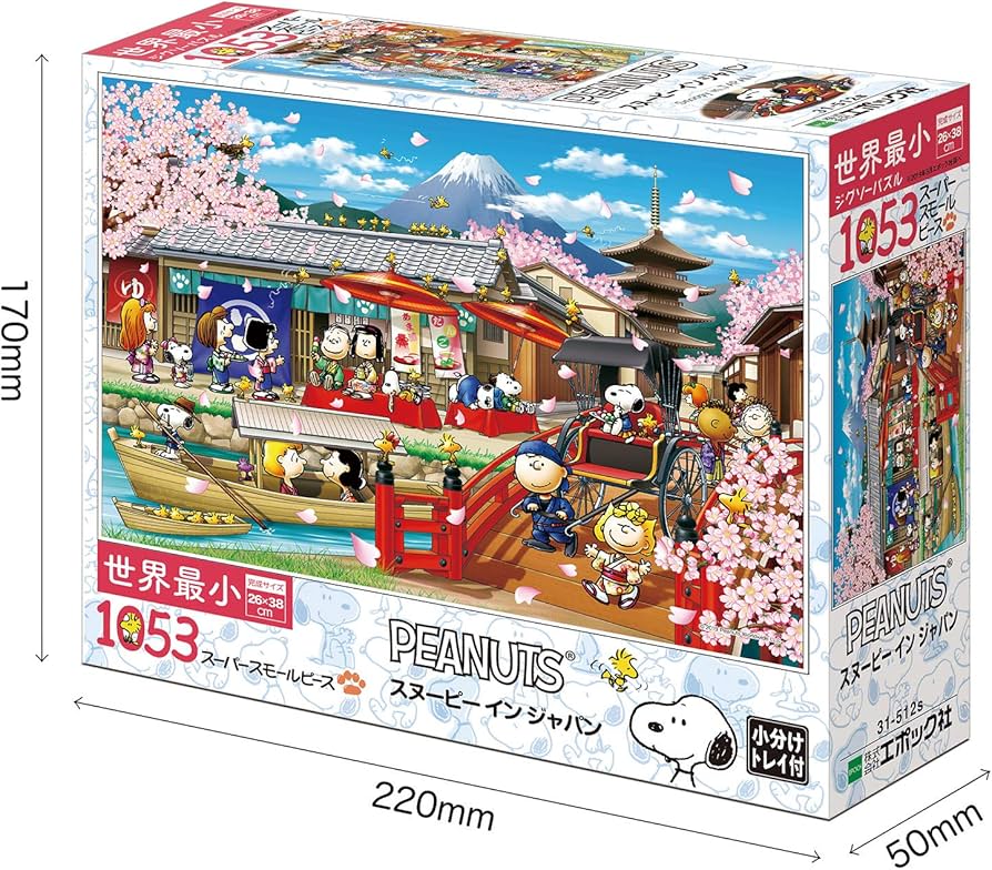 81kT1OM9e2L._AC_UF894,