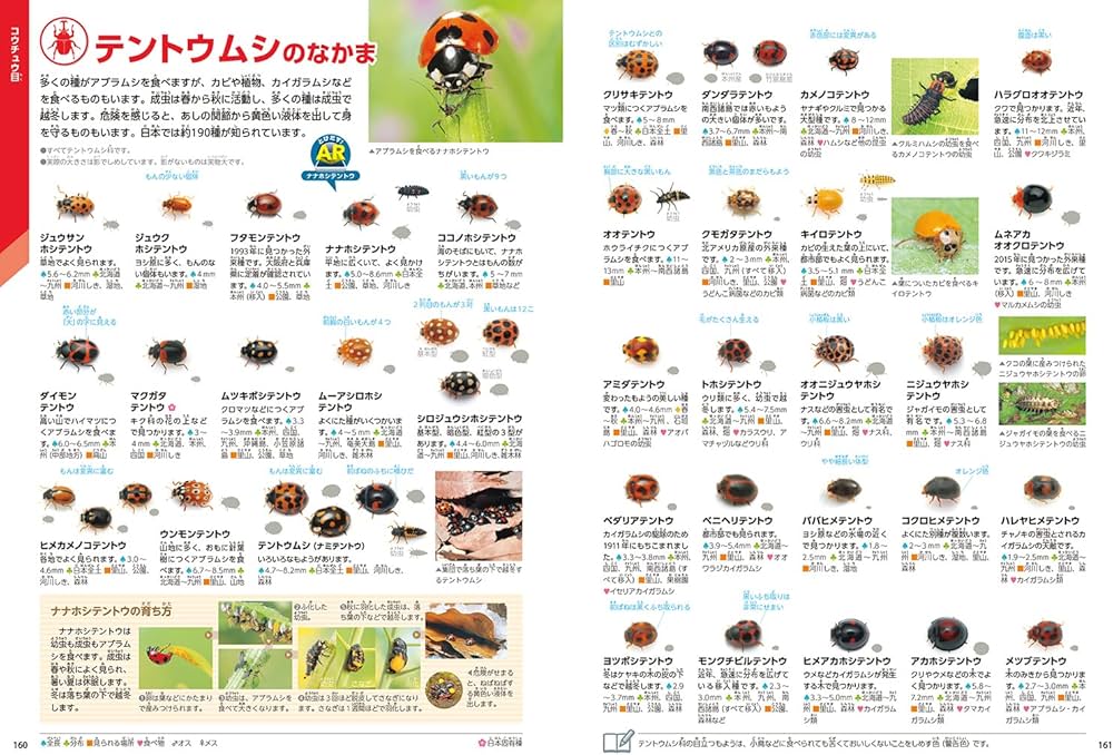 Amazon.com: 昆虫 新版 (学研の図鑑LIVE(ライブ)): 9784052051760