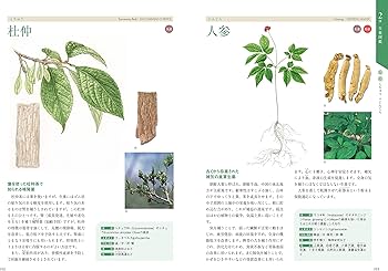 Amazon.co.jp: 生薬と漢方薬の事典 : 田中 耕一郎, 奈良 和彦, 千葉