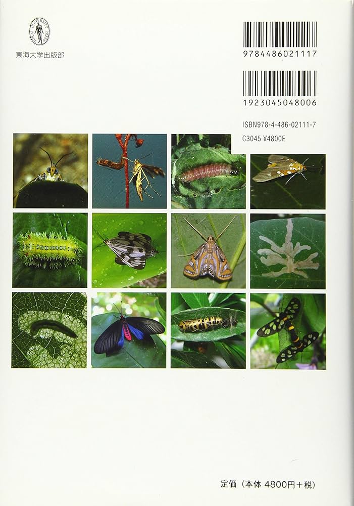 81l1k62MN-L._AC_UF1000,