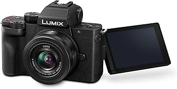 Amazon.com : Panasonic LUMIX G100 4k Mirrorless Camera for Photo