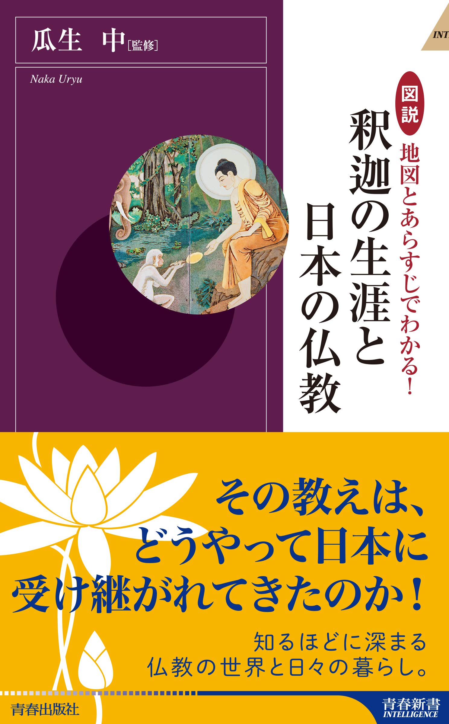 図説 地図とあらすじでわかる! 釈迦の生涯と日本の仏教 (青春新書