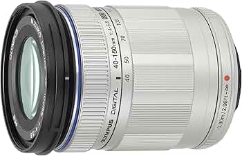 81mRp5YxKFL._AC_UF350,